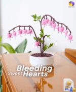 Bleeding Hearts Valentines Day STL File