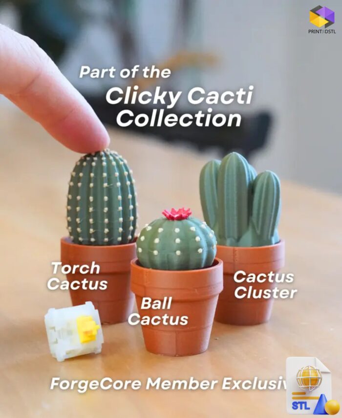 Clicky Cactus Fidget Toy STL File