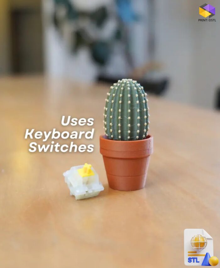 Clicky Cactus Fidget Toy STL File