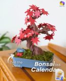 Bonsai 365 Tree Calendar STL File