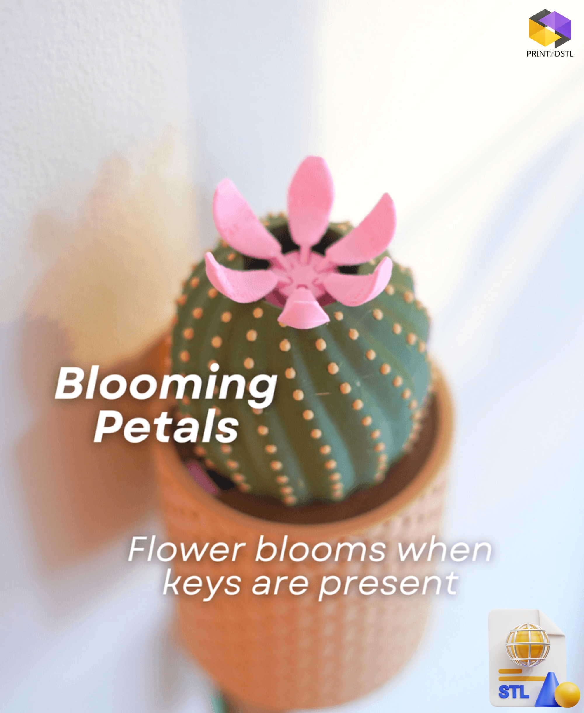 CactiKeys The Blooming Keyholder STL File - Image 4