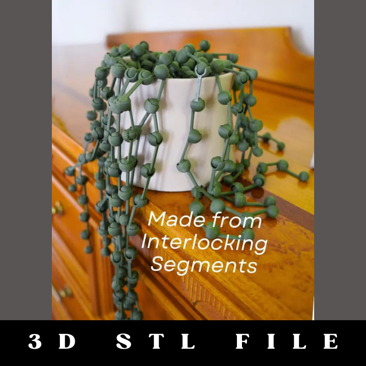 String of Pearls Articulating Plant STL File - Image 2