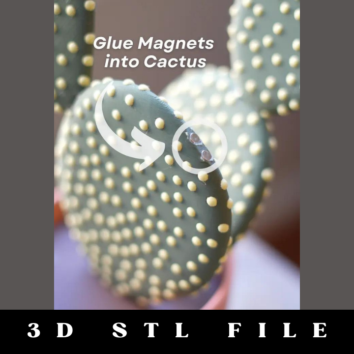 Magnetic Cactus Coaster Set STL File - Image 4
