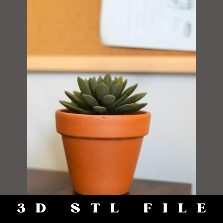 Push Pin Succulent STL File - Image 4