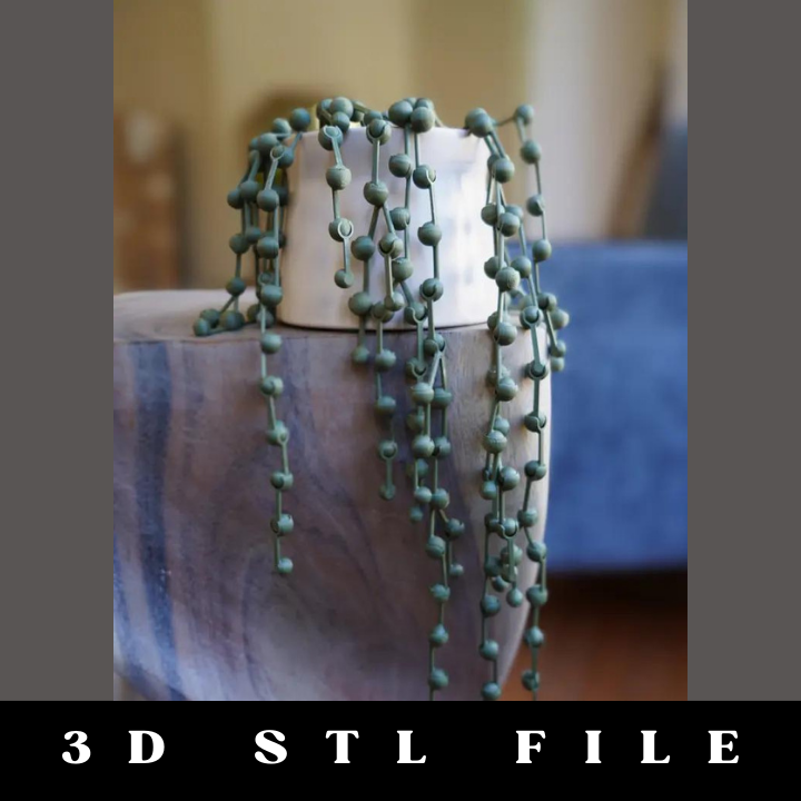 String of Pearls Articulating Plant STL File - Image 3
