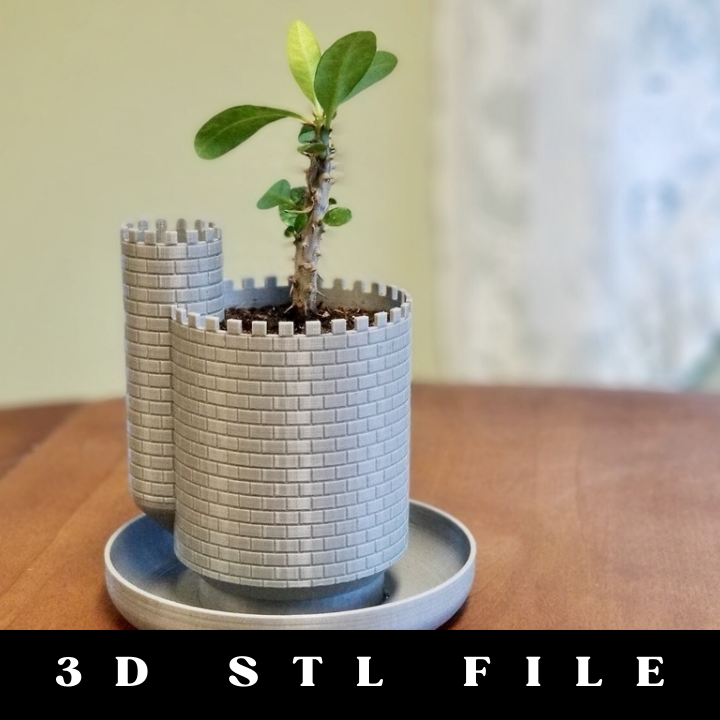 Planttlement: Castle Planter with Moat for Succulents STL File
