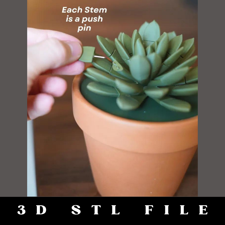 Push Pin Succulent STL File - Image 2