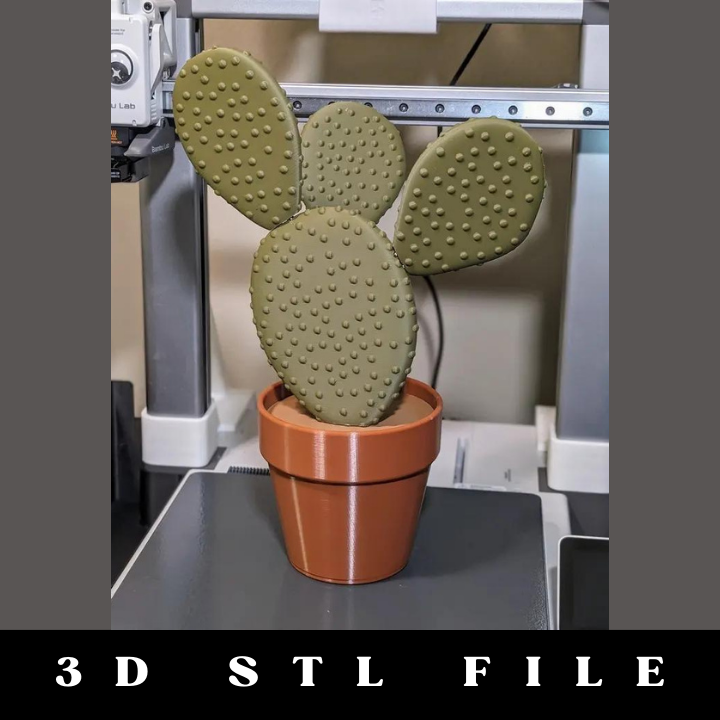 Magnetic Cactus Coaster Set STL File - Image 6