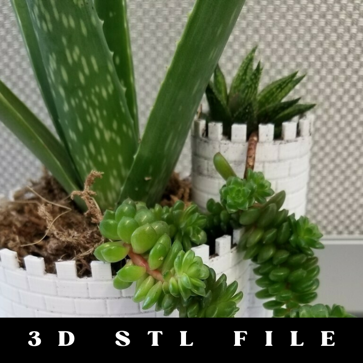 Planttlement: Castle Planter with Moat for Succulents STL File - Image 2