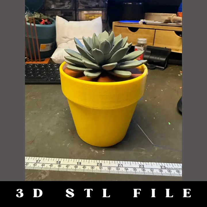 Push Pin Succulent STL File - Image 6