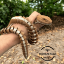 Articulated Garter Snake STL File